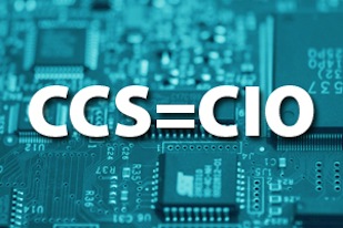 CCS (Central Coast Solutions) can function as your CIO (Chief Information Officer)